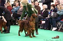 Crufts2011 737